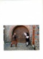 /album/manifestazioni-/img310-jpg/